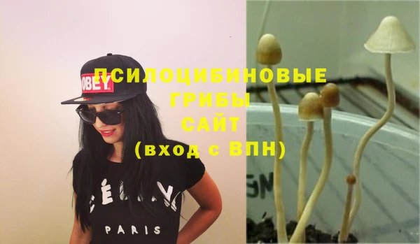 СК Касимов