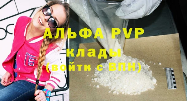 СК Касимов