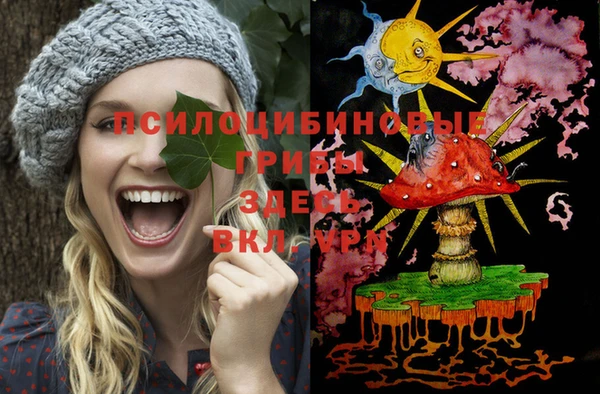СК Касимов