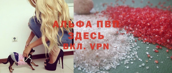 СК Касимов