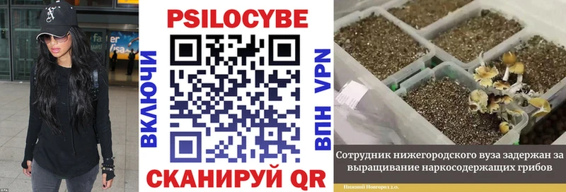 МЕГА ссылка  Светлогорск  Галлюциногенные грибы ЛСД  продажа наркотиков 